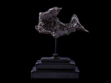 Gibeon-Meteorit in Form eines Hais